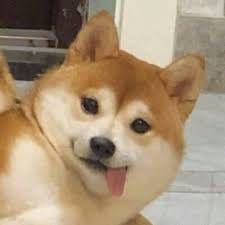 Iftikhar Ahmed avatar