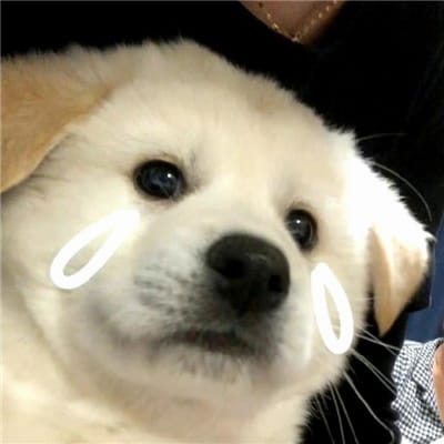 Mohammad Yousaf avatar